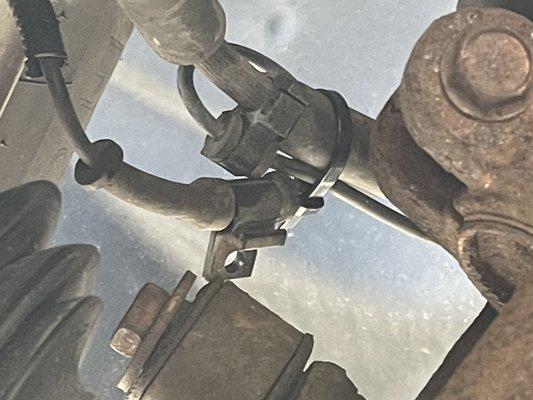 Wheel sensor zip tied. Notice there is no rodent damage.