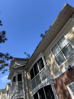 The Preserve At Godley Station