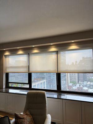 Window Horizons - Hunter Douglas Shades And Blinds