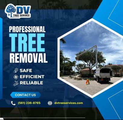 Daniel Valencia Tree Service