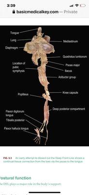 Myofunctional Therapy Of La Jolla