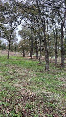 Austin Oak Landscaping