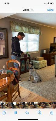 Maggie’s Canine Connection