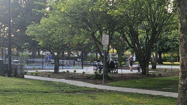 Playing pickleball, coming over!