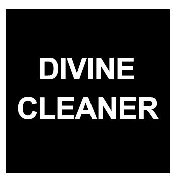 Cleaning Services - Will Travel