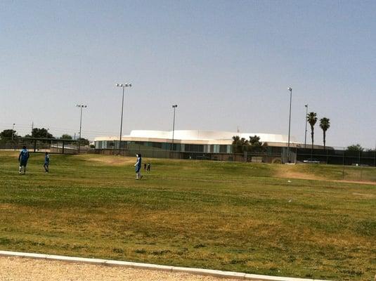 Taken from the field on Harmon