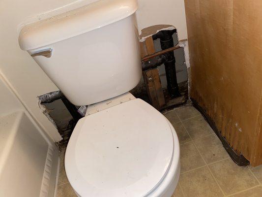 Mold created by neighboring apt flooding