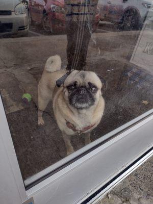 Woodland Avenue Beverage