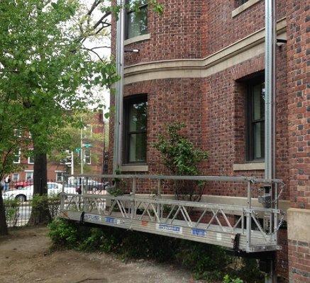 Bird Ladder and Equipment