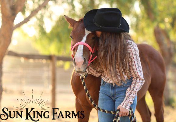 Sun King Farms horse boarding and equestrian center