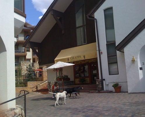 Grappa Fine Wines & Spirits