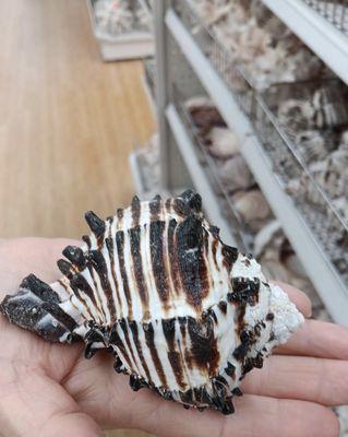 Ben Franklin Souvenirs