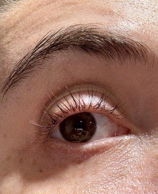 Yes, those are my natural lashes with a lift & tint!