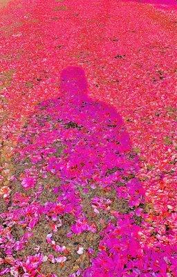 White Center Heights Park