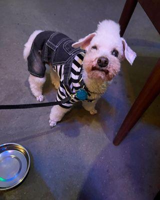 Parkview Veterinary Clinic