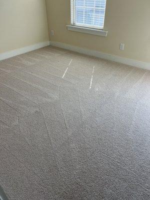 Elite Steam Cleaners