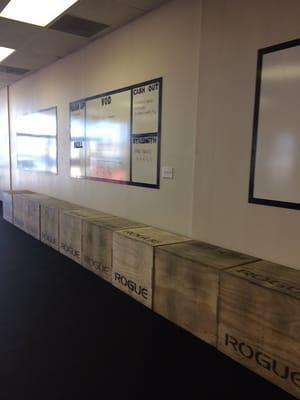 Evolve Fitness Clearwater