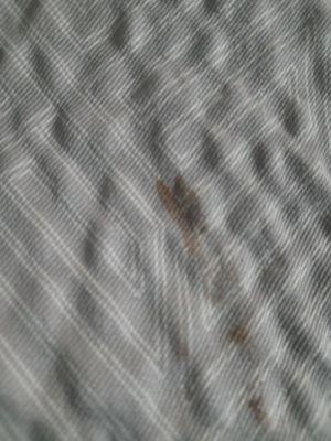 Bloodstain on the blanket.