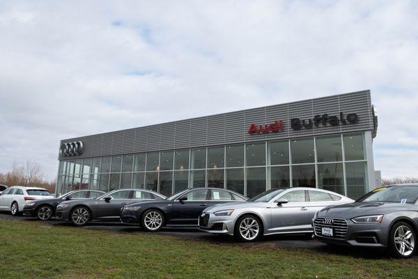 Audi Buffalo