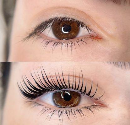 Muchie Lash & Brows