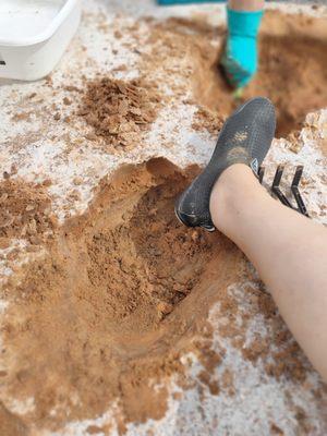 Salt Plains National Wildlife Refuge