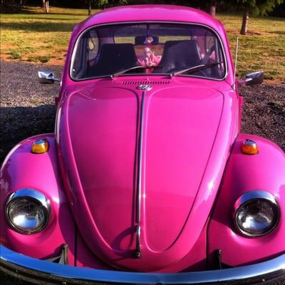The pink poodle bug!
