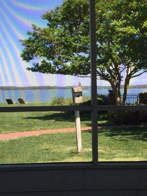 Birdwatching from one of the enclosed porches.