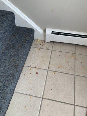 Warrington Crossings