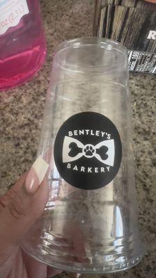 The cute cup the cupcakes came home in