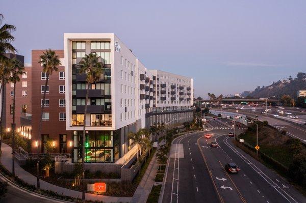 Felix at The Society