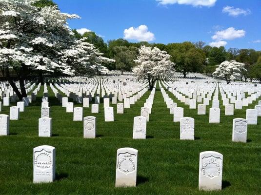 Cypress Hills National Cemetery