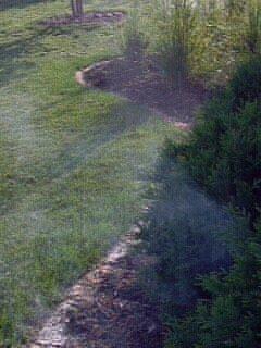 Mosquito Squad - Altoona