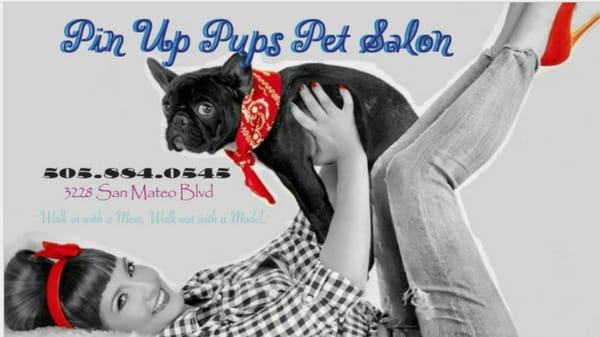 Pin Up Pups Pet Salon LLC
