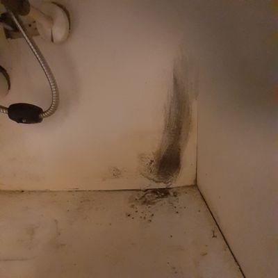 Under kitchen sink. Black mold and water between the walls
