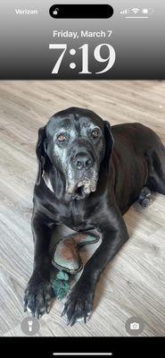 Kozy Acres Pet Cemetery & Crematory