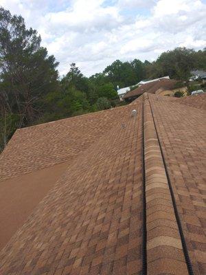 Shingle Roof