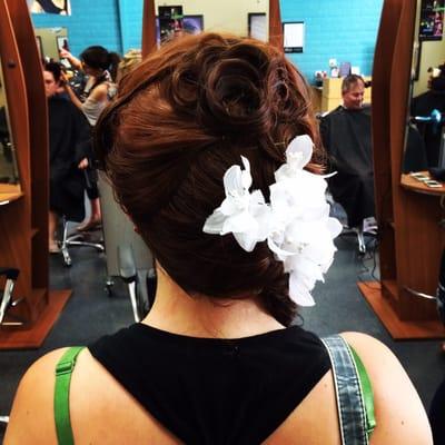 Dianes House Of Hair