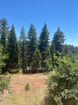 Running Springs Fire Department