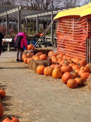 Prospect Hill Garden Center