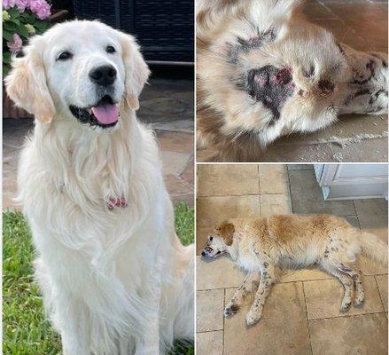 After on the left. Before on the right.