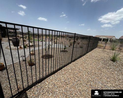 Rattlesnake Solutions