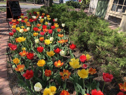 Patrick J Loynd - HomeStarr Realty