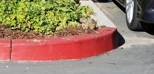 Toyota Motor Distributors San Francisco Region