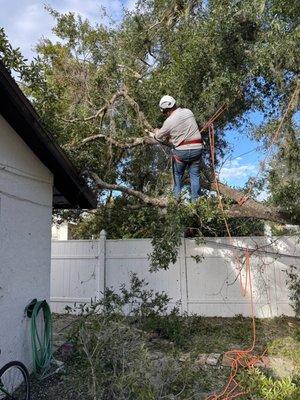 Landscape Irrigation & Tree Service