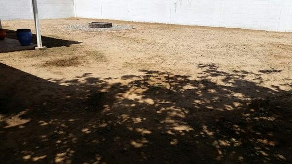 Responsible Landscaping