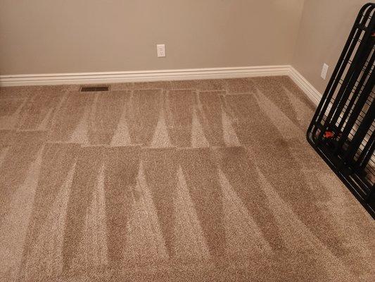 Scott's Home Services