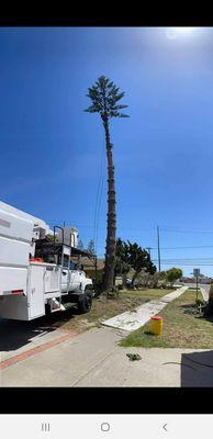 Ortiz Landscape & Tree Care