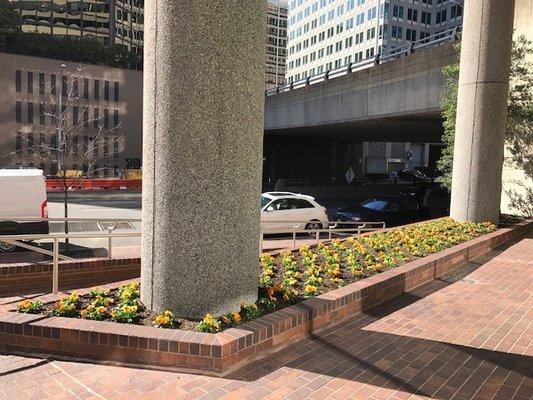 We love getting for clients ready for Spring!