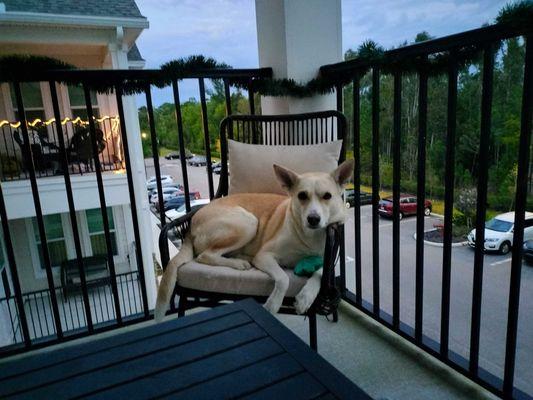 Service Slurpees Unlimited