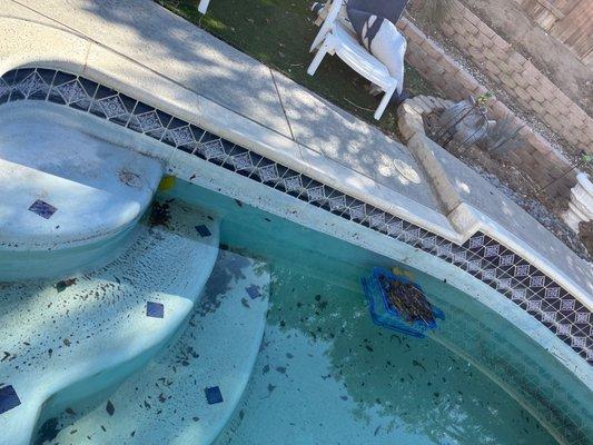 Fuentes Pool Restoration